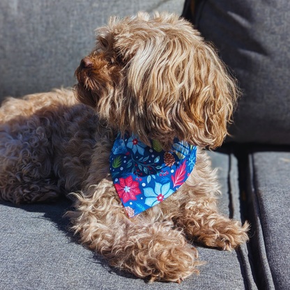 Shihpoo dog sitting on garden lounger wearing festive poinsettia and baubles Christmas bandana, eco-friendly handmade pet accessory - The Jazzy Pooch