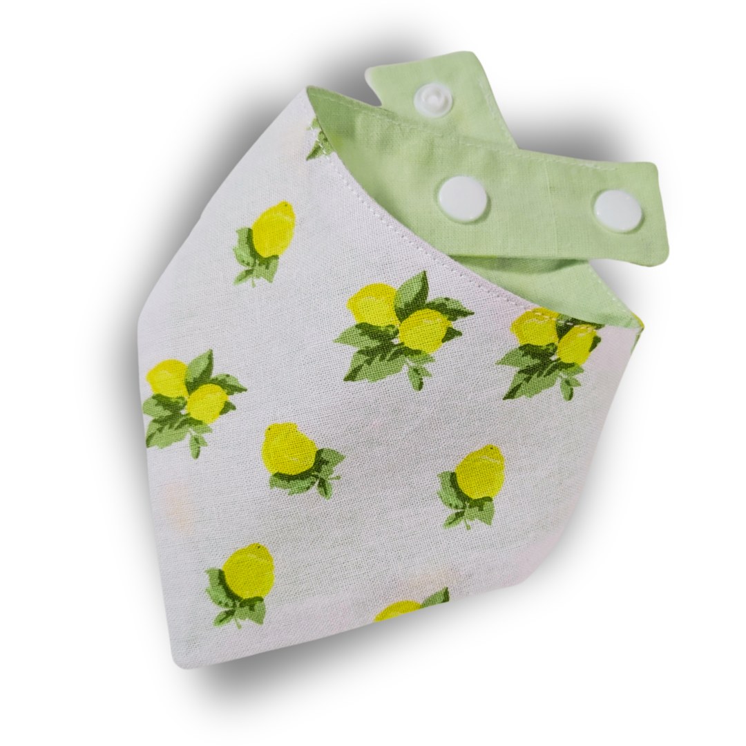 Reversible dog bandana featuring zesty lemon pattern on white background, handcrafted from rescued sustainable fabric - The Jazzy Pooch