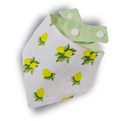 Reversible dog bandana featuring zesty lemon pattern on white background, handcrafted from rescued sustainable fabric - The Jazzy Pooch