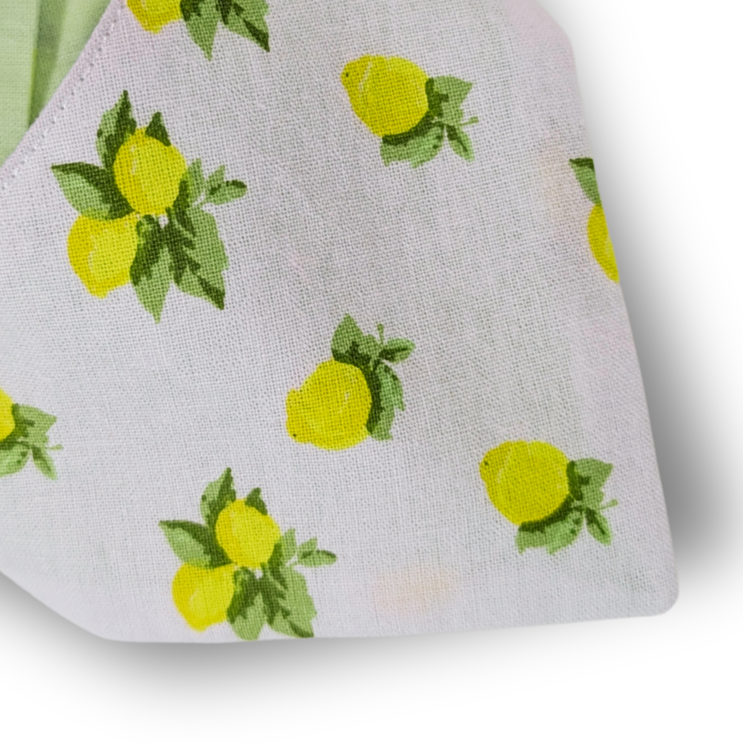 Close-up detail of fresh zesty lemon and foliage pattern on planet-friendly reclaimed cotton dog bandana - The Jazzy Pooch