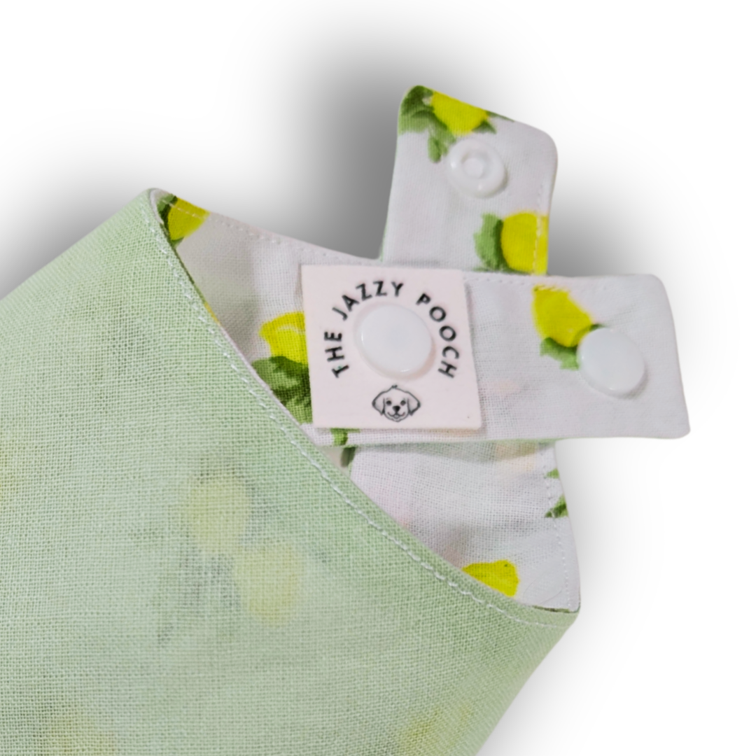Quality detail showing adjustable snap-on poppers and The Jazzy Pooch branded label on handmade sustainable dog bandana - The Jazzy Pooch