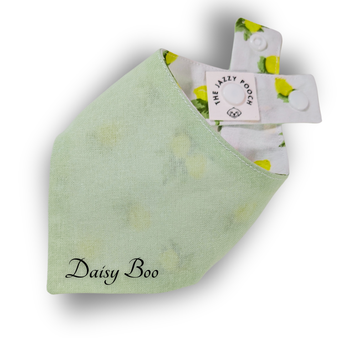 Cool mint green reverse of eco-friendly dog bandana with personalised pet name - The Jazzy Pooch