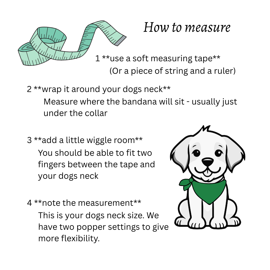 Instructions on how to measure a dog's neck for a bandana, with a cartoon dog and measuring tape illustration - The Jazzy Pooch