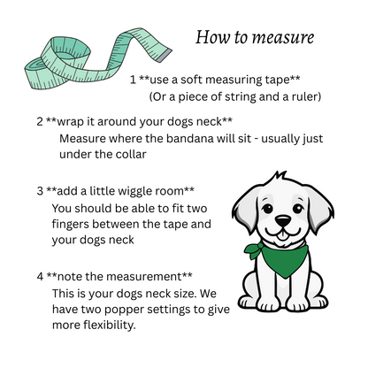 Instructions on how to measure a dog's neck for a bandana, with a cartoon dog and measuring tape illustration - The Jazzy Pooch